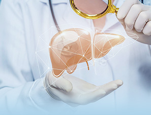 Liver and Kidney Check-up Program